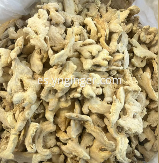 Dried Ginger Chunks 9